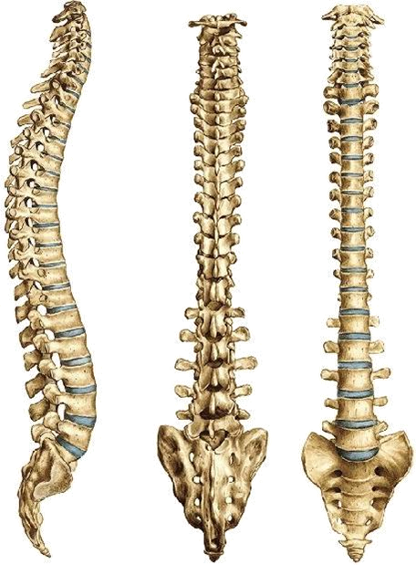 colonna_PNG